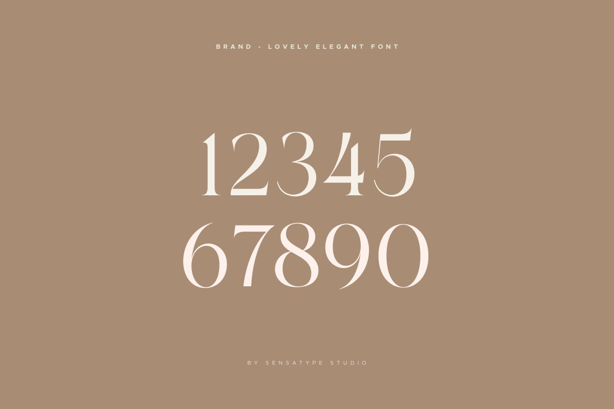 Brand - Lovely Elegant Font, a Serif Font by Sensatype (Photo 13 of 14)