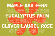 Petal Types | Fun Hand Drawn Font, a Handwritten Font by gracetype_studio (Thumbnail 3 of 12)