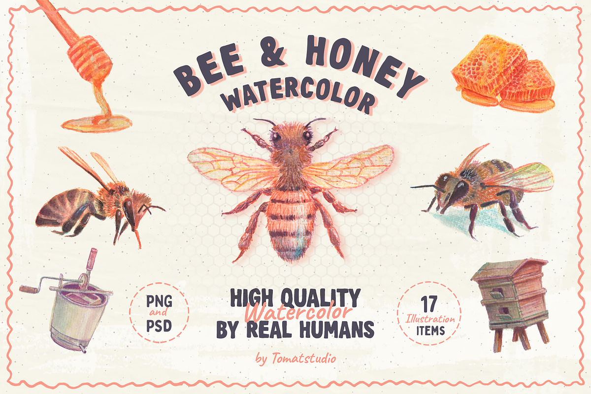 Realistic Bee & Honey Watercolor, an Animal Illustration by tomatstudio (Photo 1 of 3)