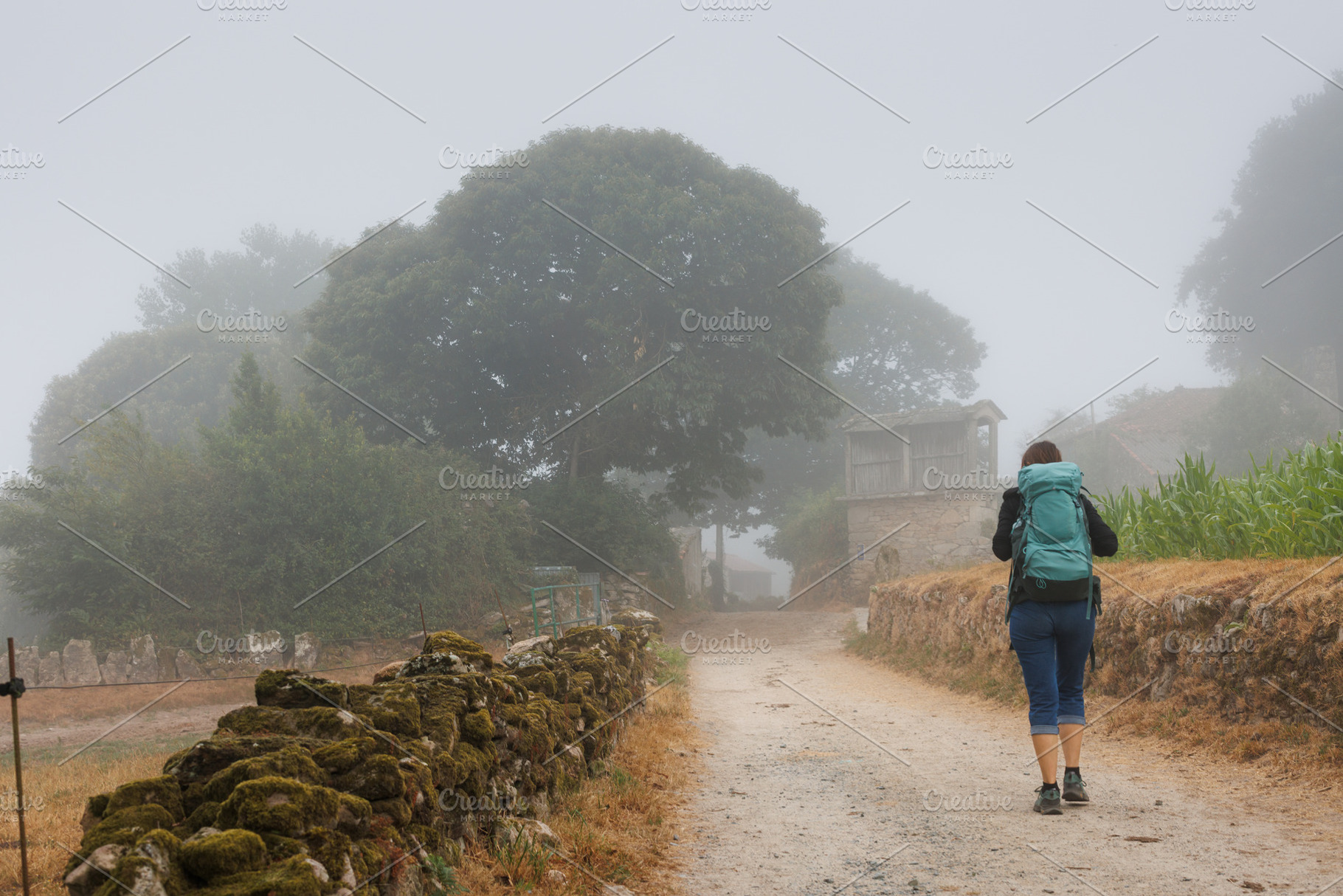 Pilgrim Walking on Foggy Camino Primitivo Trail, Galicia, Spain, a Person Photo by Bepslabor