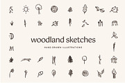 Woodland Icons Illustrations Forest, an Outline Icon by CreativeWilderness (Thumbnail 1 of 11)