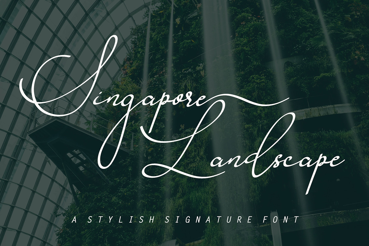 Singapore Landscape
