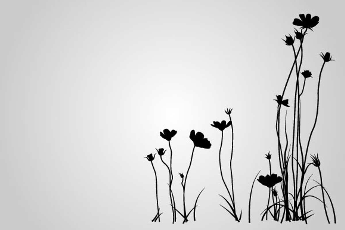 25 Floral Silhouettes (Vector) preview 3
