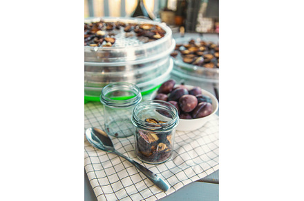 Plums dried in a dehydrator, a Food & Drink Photo by yanadjana