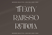 Thorin - Beautiful Serif Font, a Serif Font by Aqeel_Art (Thumbnail 4 of 12)