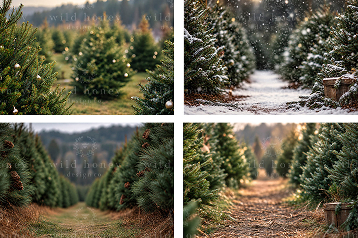 Christmas Tree Farm Backdrop BUNDLE, a Layer Style Add-On by Wild Honey Design Co. (Photo 4 of 4)