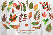 Watercolor Autumn Leaves, an Illustration by TanataDesign (Thumbnail 2 of 6)