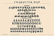 Avigea Modern Serif Font Display, a Script Font by Storytype Studio (Thumbnail 9 of 10)