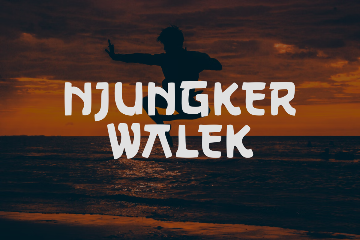 Daaf Ninja, a Serif Font by albert_kalingga (Photo 3 of 4)