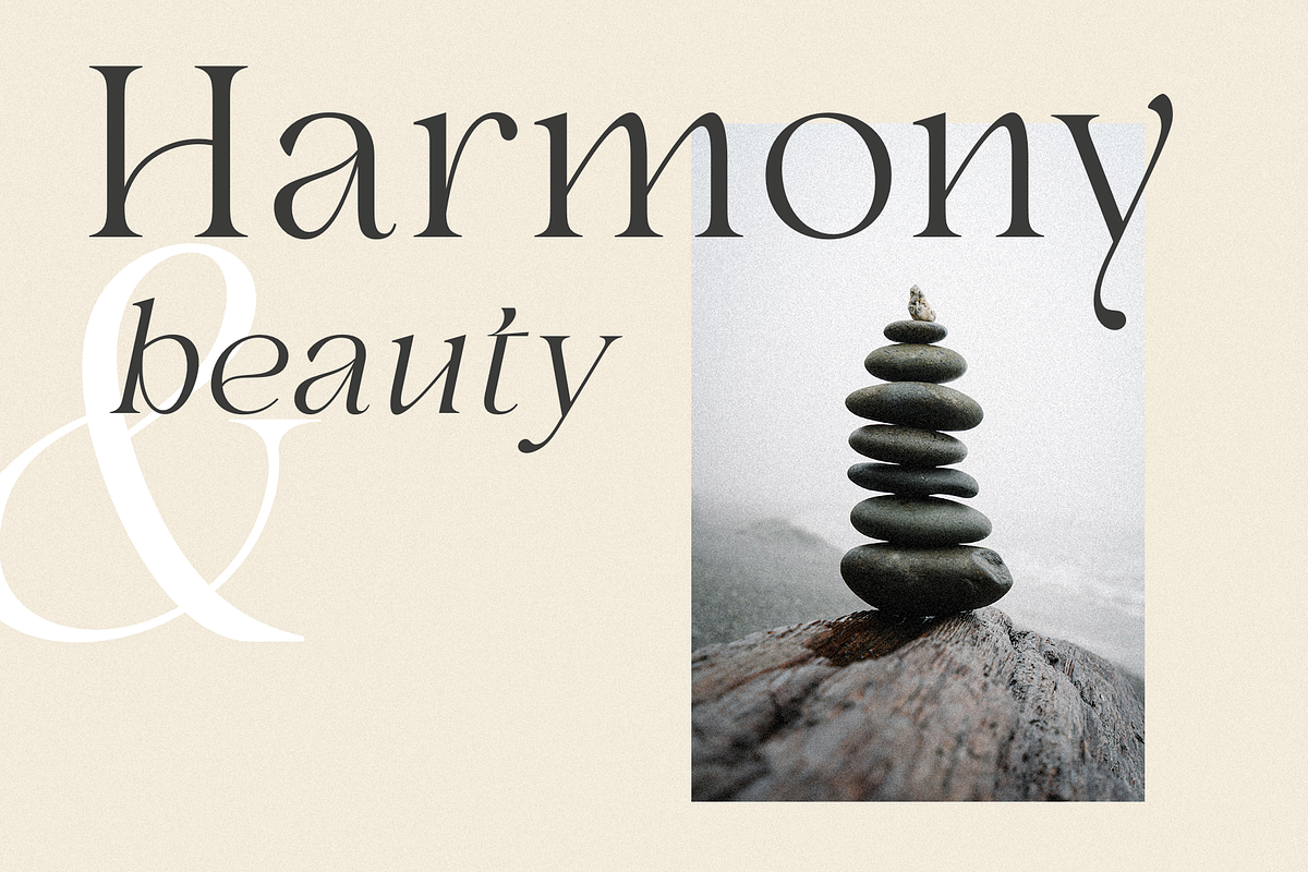 Selna, a Serif Font by Larin Type Co. (Photo 11 of 15)