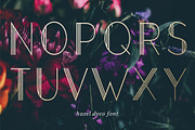 Hazel Deco Font, a Font by Leslie Ray (Thumbnail 3 of 7)