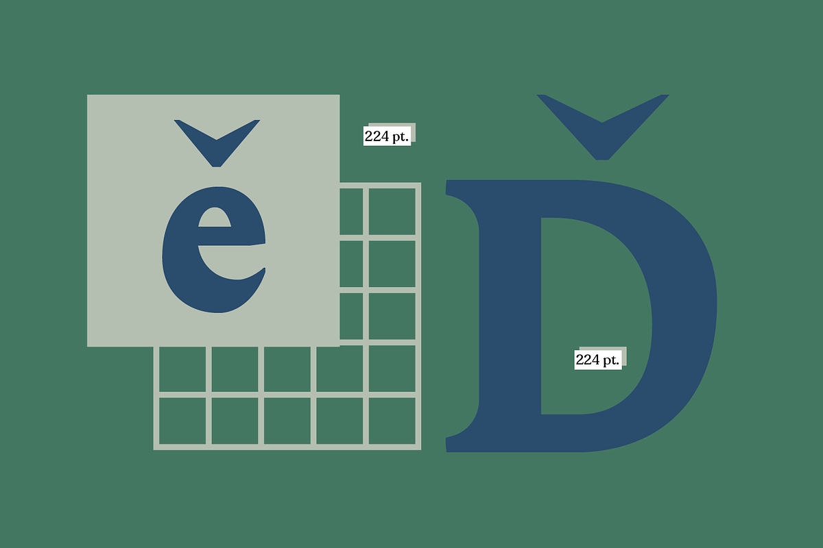 Acelga preview 6