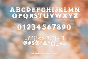 Howdy Honey Western Font, a Serif Font by Honey Island Studio (Thumbnail 3 of 11)