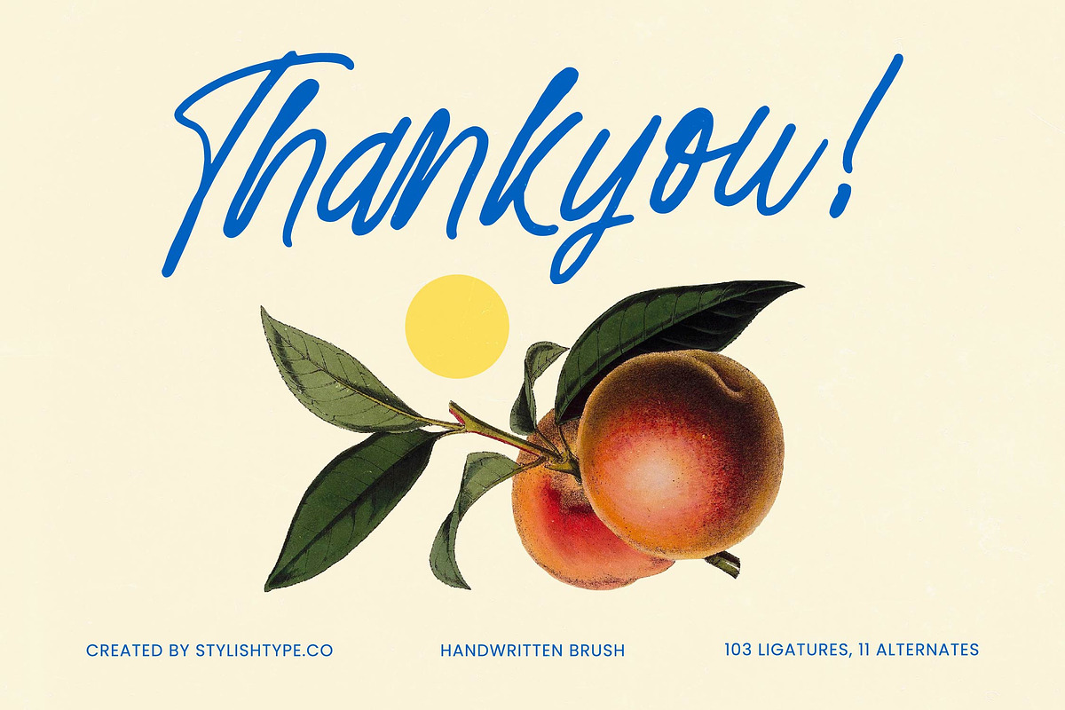 Distyan Stovilky Handwritten Brush, a Script Font by stylishtype.co (Photo 15 of 15)