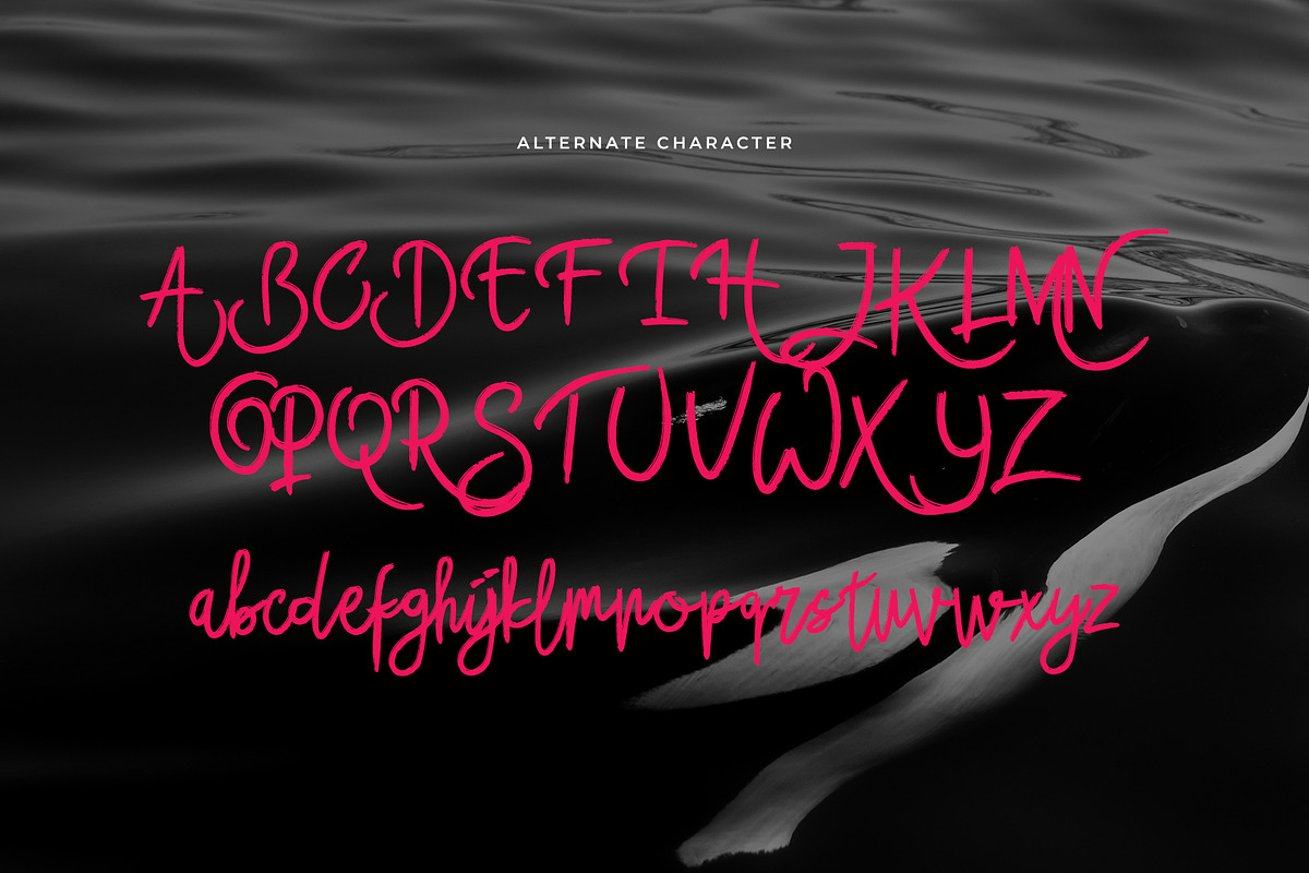 Buchero Brush Script Font, a Script Font by Dawnside Graphic (Photo 8 of 13)