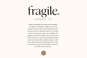 Analogue - Stylish Modern font, a Serif Font by Tropical Type (Thumbnail 8 of 13)