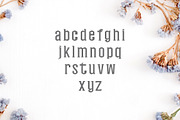 Nasya Slab Serif 4 Font Family Pack, a Slab Serif Font by Creativetacos (Thumbnail 3 of 6)