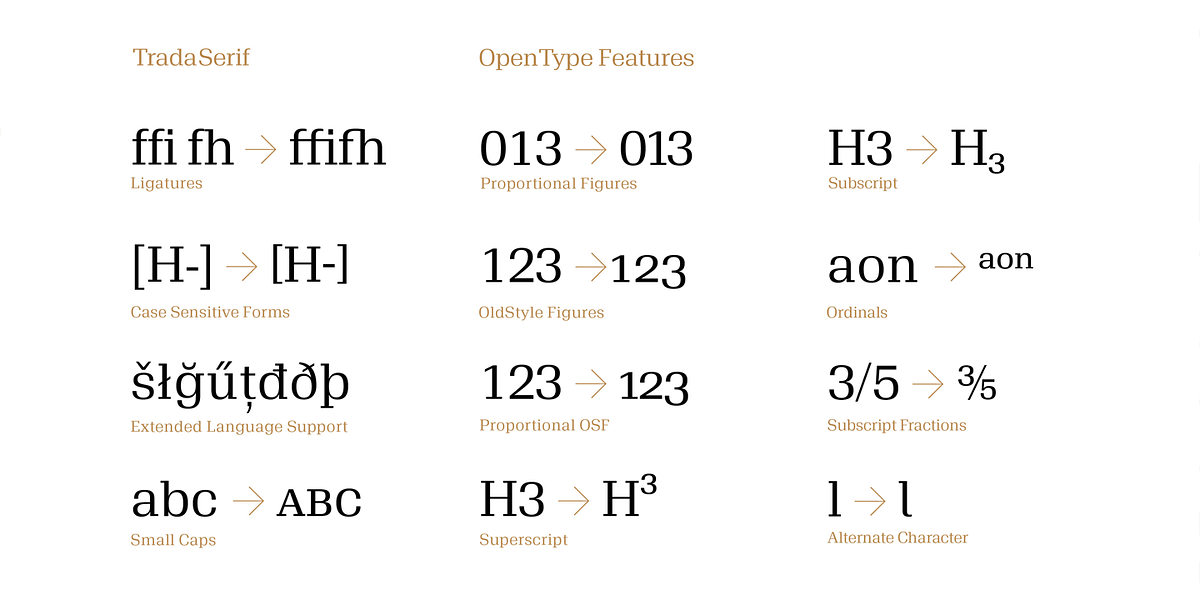 TradaSerif, a Serif Font by Hoftype (Photo 15 of 15)