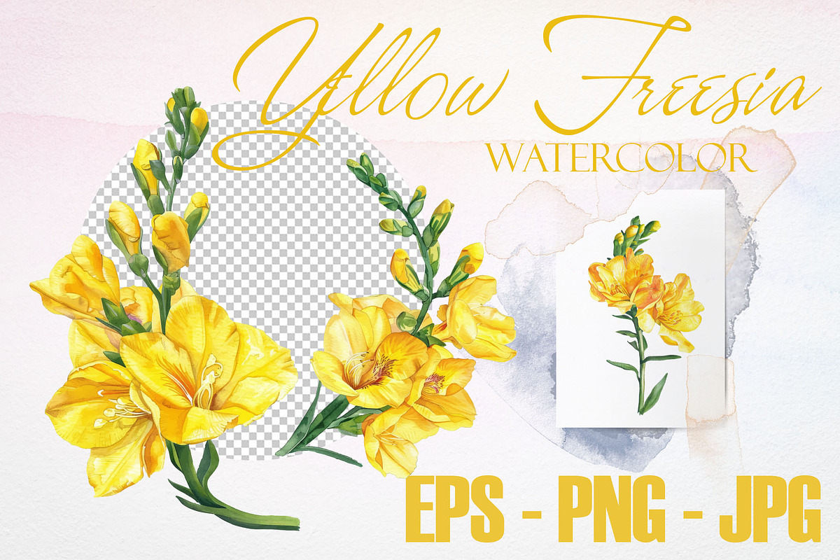 Watercolor Yellow Freesia Vector Set, a Decorative Illustration by Deckar_art (Photo 2 of 4)