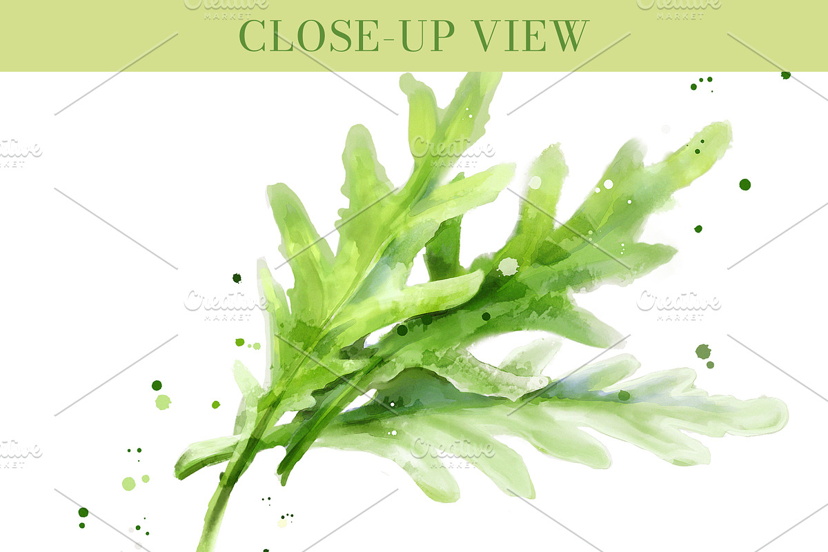 Watercolor Vegetables Set PNG, an Object Graphic by Elena Naumchenkova (Photo 5 of 6)