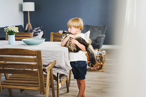 Cute blonde boy in white tshirt stock photo containing pet and animal