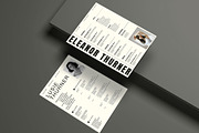 Resume Kit, a Resume Template by UX-group (Thumbnail 5 of 9)