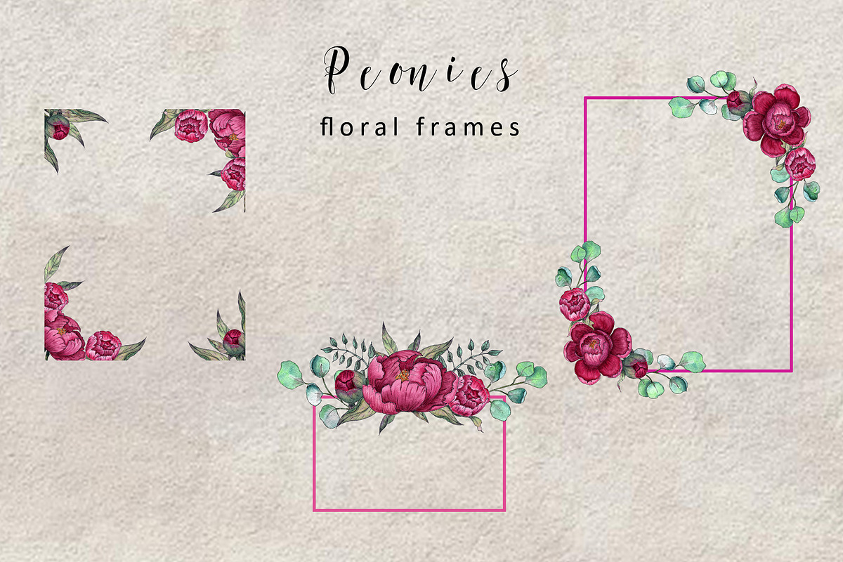 Peonies. Watercolor clipart, a Decorative Illustration by TetianaArt (Photo 8 of 11)