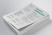 Professional Resume/CV Template, a Resume Template by HueNestify (Thumbnail 1 of 4)