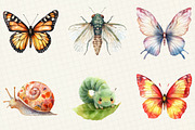 Watercolor Bugs Sublimation Clipart, an Illustration by OK Design (Thumbnail 5 of 5)