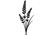 Decorative Tribal Feather Vector, an Object Graphic by Designer_Momina (Thumbnail 15 of 18)