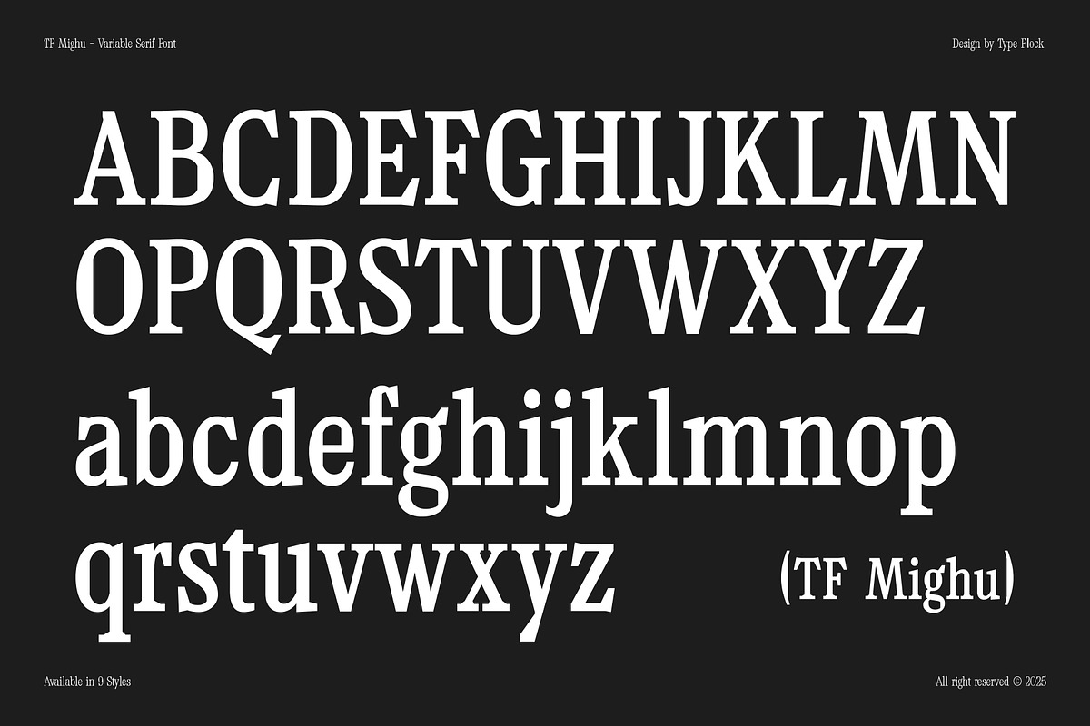 TF Mighu - Modern Slab Serif, a Serif Font by Type Flock (Photo 3 of 15)