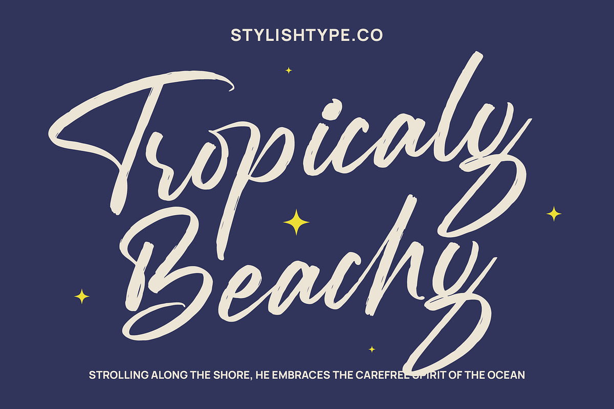 Mention Roberto Modern Brush Font, a Script Font by stylishtype.co (Photo 7 of 20)