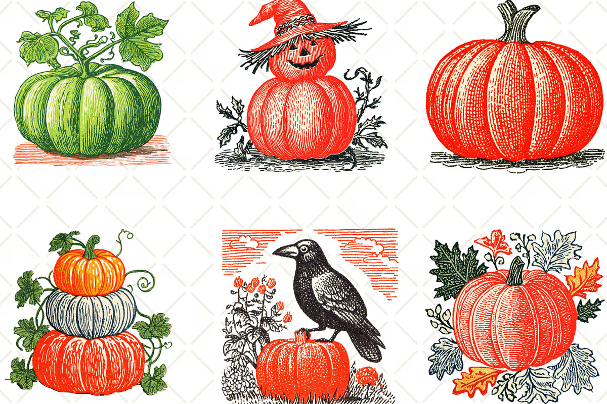 Pumpkin Hand Drawn Fall, an Illustration by Black Bird Studio (Photo 2 of 6)