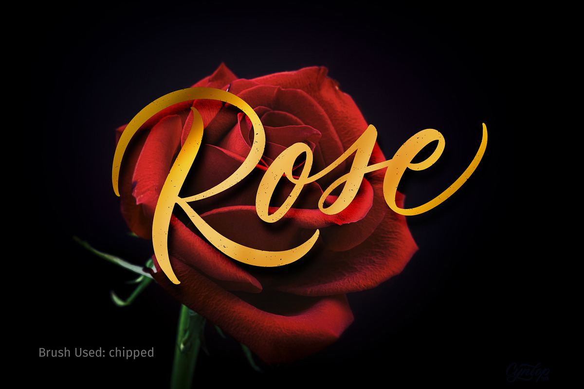 Procreate Lettering Brush Pack 3, a Brush Add-On by Cynlop Ink (Photo 8 of 10)