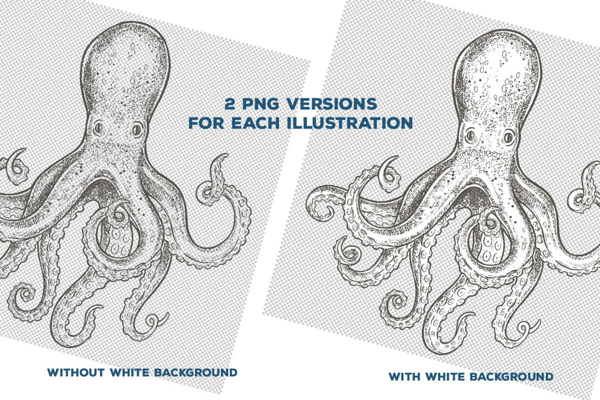 Seafood Illustrations, a Food Illustration by PicByKate (Photo 3 of 5)