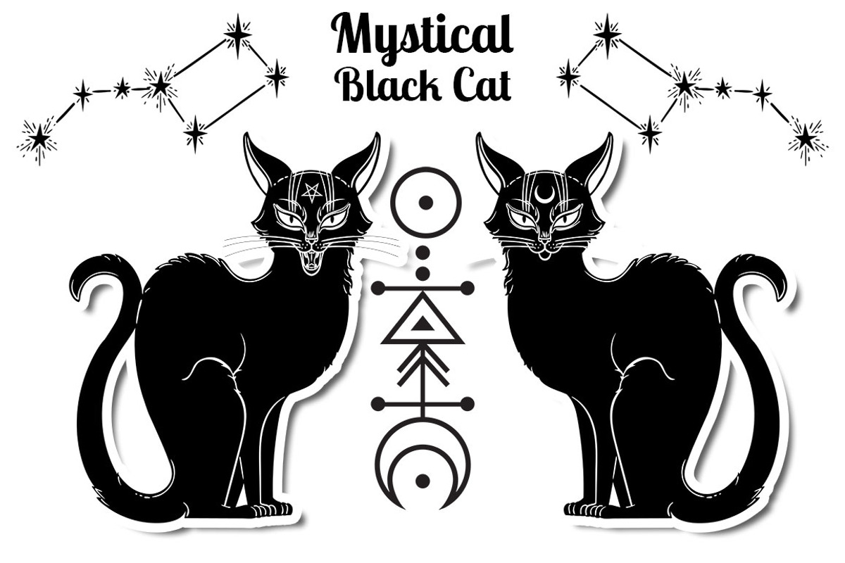 Mystical Black Cat, an Object Graphic by Anastasia (Photo 11 of 15)