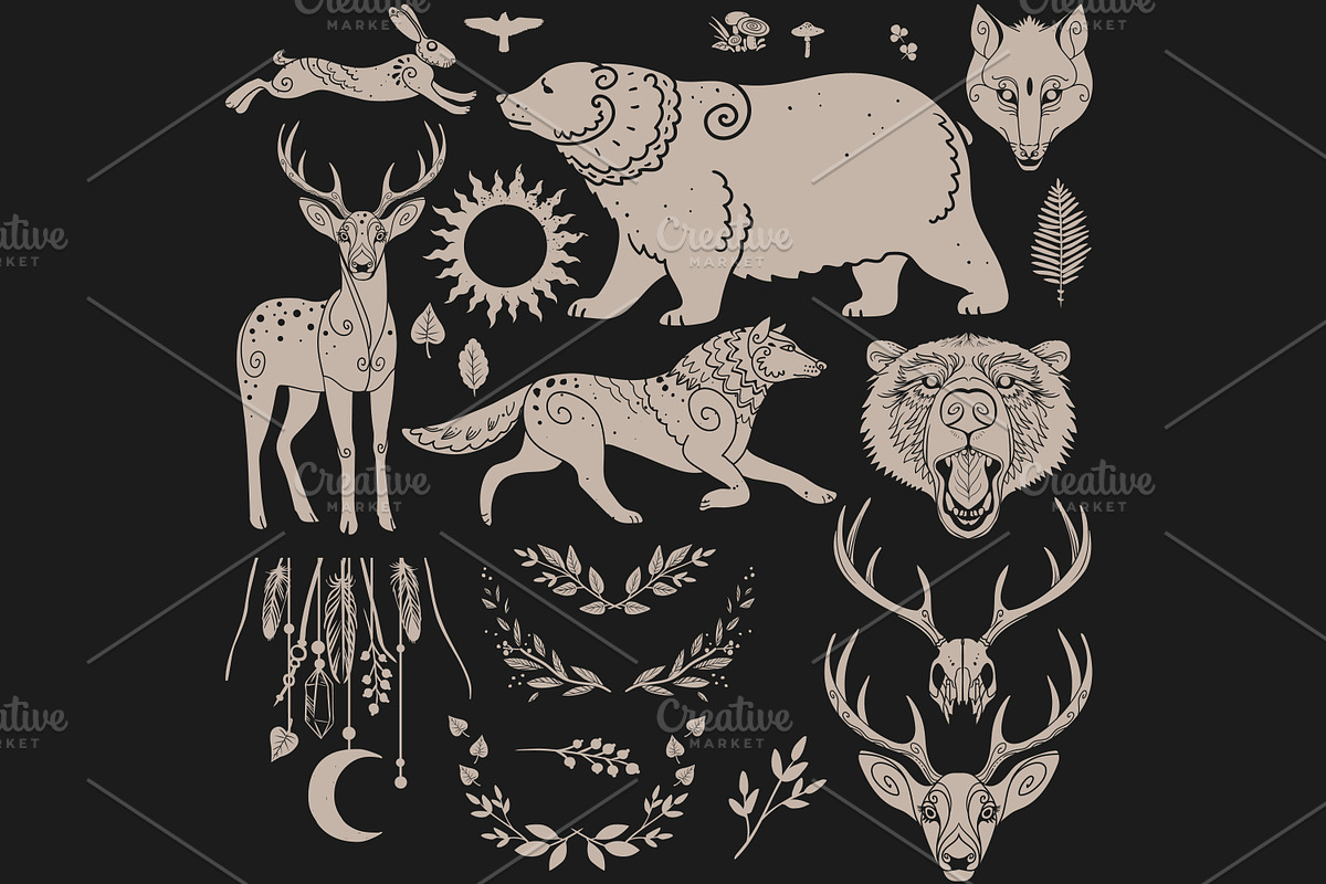 Wild forest. Vector collection, an Animal Illustration by Nadia Murash (Photo 3 of 7)