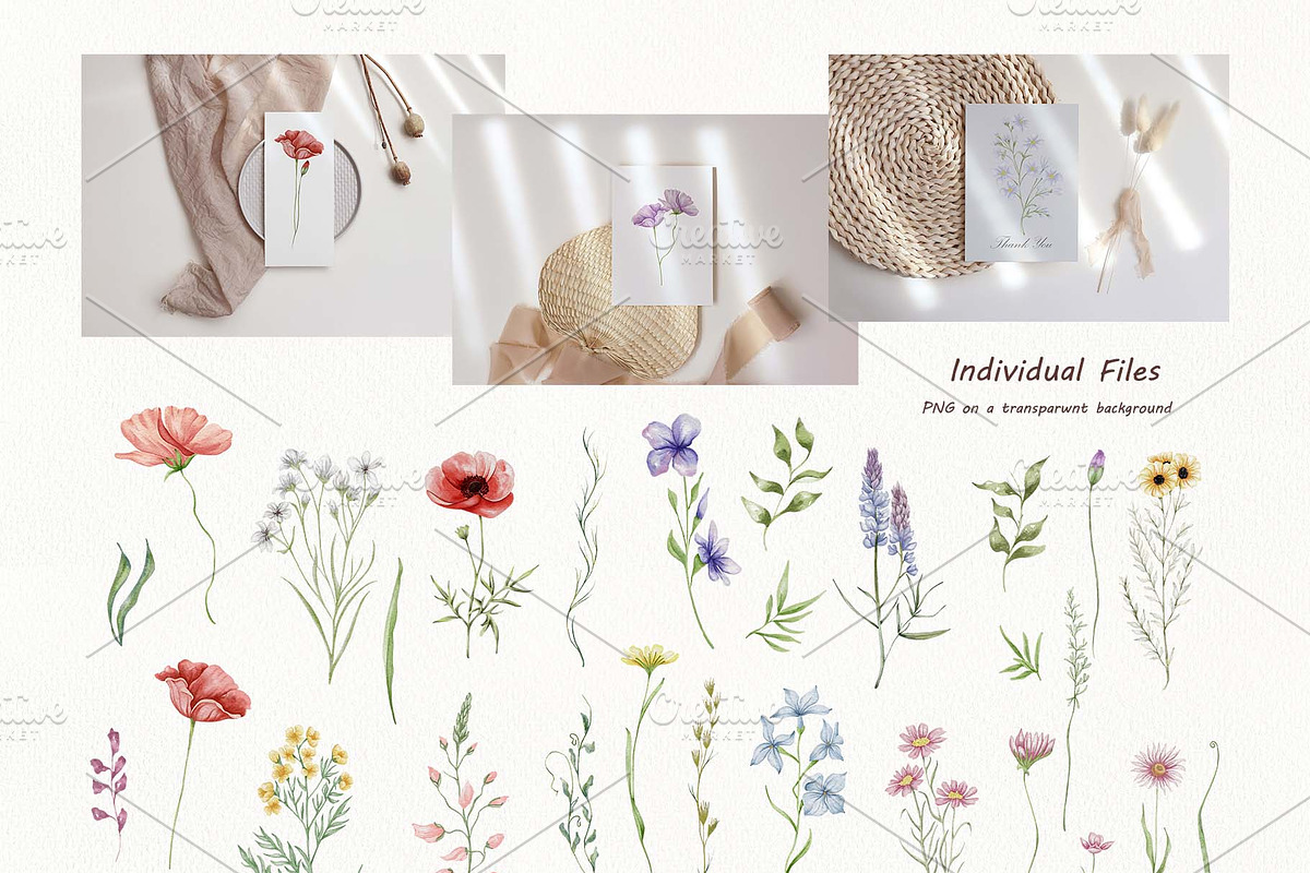 Watercolor Wildflowers Botanical Set, a Decorative Illustration by BarvArt (Photo 3 of 22)