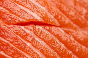 Fresh raw salmon fillets showing vibrant orange flesh texture and healthy seafo, a Photo by Studio ANNA