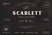 Scarlett Font Bundle