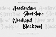 Blinking - Handwritten Font, a Handwritten Font by Alpaprana (Thumbnail 4 of 12)