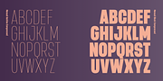 Manual, a Sans Serif Font by TypeUnion (Thumbnail 10 of 16)