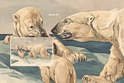 Alfred Fiedler Täubler’s Animals, an Animal Illustration by Digital Museum (Thumbnail 12 of 12)