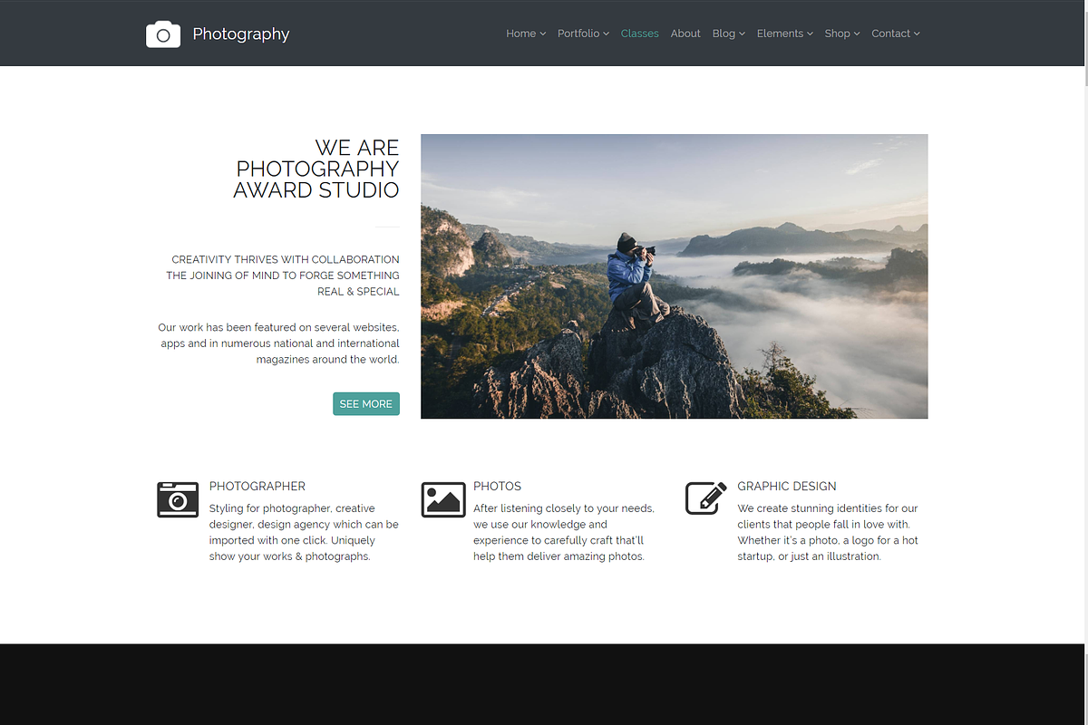 Photography Gallery WordPress Theme, a WordPress Template by Visualmodo (Photo 9 of 21)