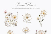 Pressed Flowers (Png) Elements, a Background Graphic by by creative paper (Thumbnail 13 of 13)