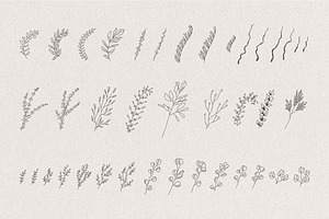 Set Of Hand Drawn Greenery