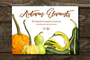 Pumpkins & Gourds - 33 Realistic, an Object Graphic by Turning Moss (Thumbnail 5 of 6)