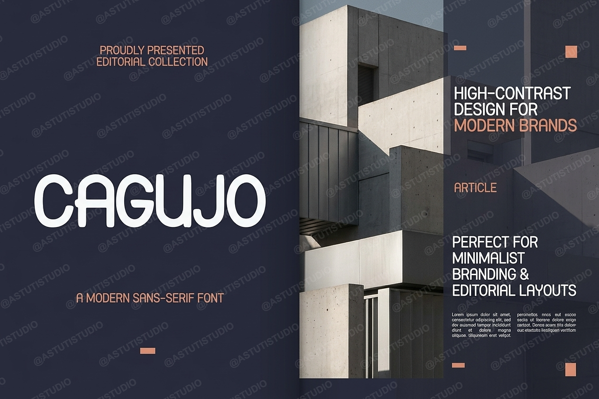 Cagujo | Luxury Editorial Serif, a Serif Font by Astuti Studio (Photo 17 of 22)