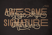 Sigmature Monoline Beautiful Script, a Script Font by Lettertype Studio (Thumbnail 4 of 15)