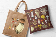 Hand drawn edible mushrooms set, a Food Illustration by handsketched (Thumbnail 6 of 10)